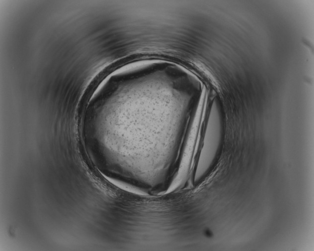 X0000091000976200708241445