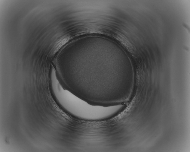 X0000091000977200708241445
