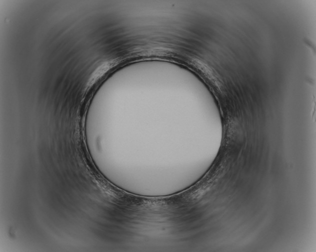 X0000091000978200708241445