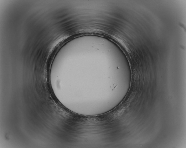 X0000091000979200708241445