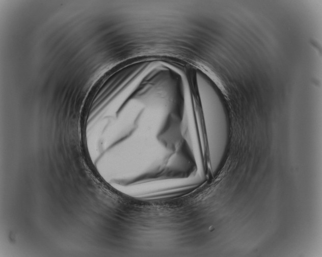 X0000091000980200708241445