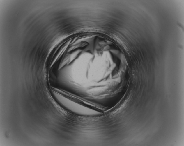 X0000091000981200708241445