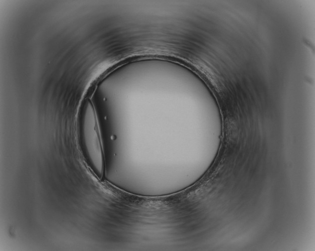 X0000091000982200708241445
