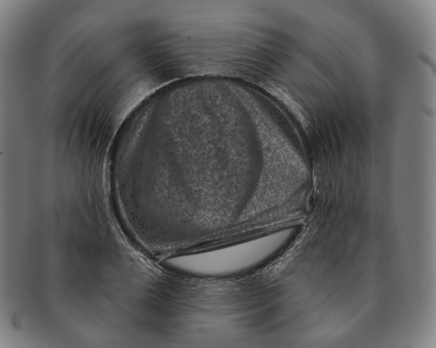X0000091000983200708241445