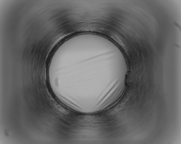 X0000091000984200708241445