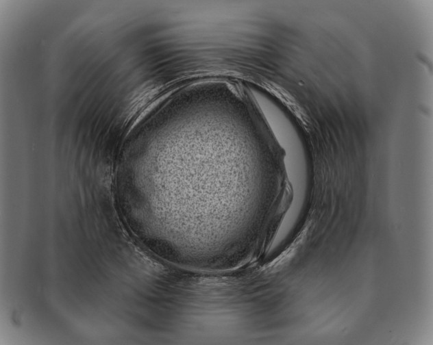 X0000091000985200708241445