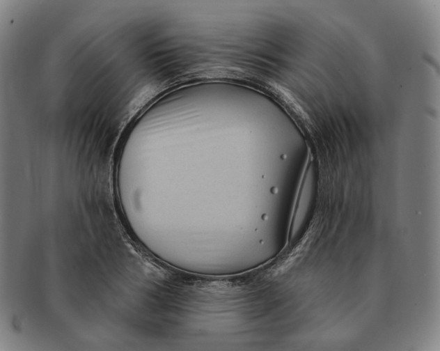 X0000091000986200708241445