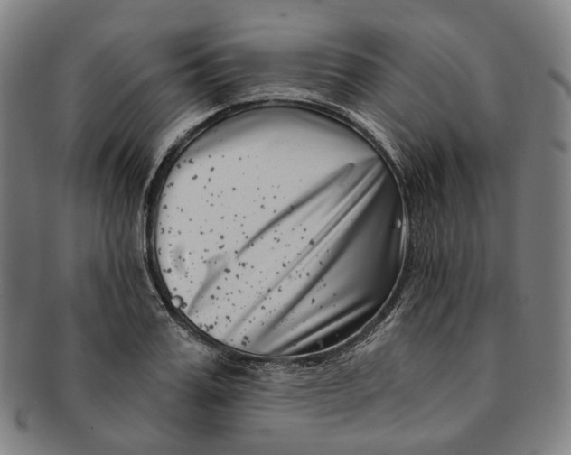 X0000091000987200708241445