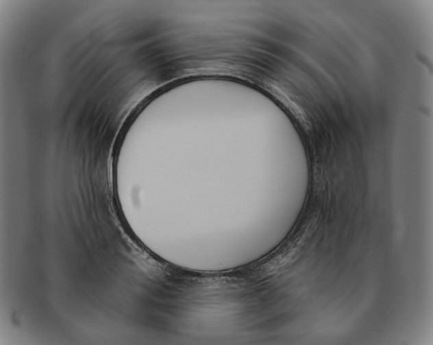 X0000091000988200708241445