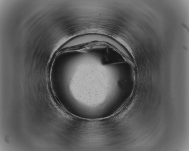 X0000091000989200708241445