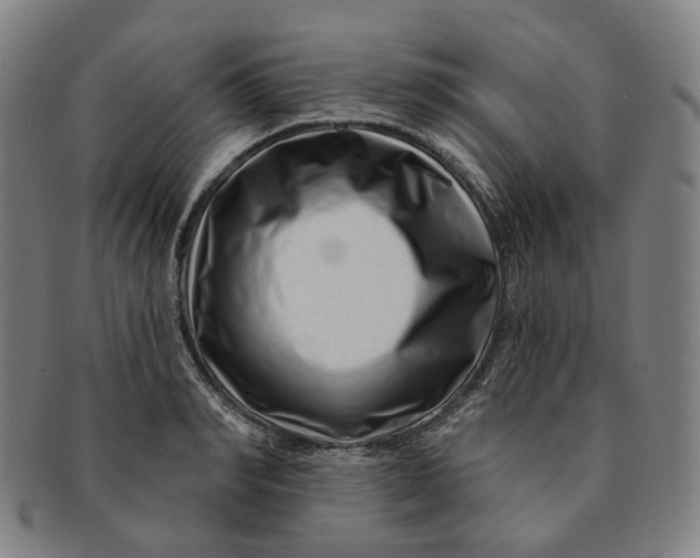X0000091000990200708241445