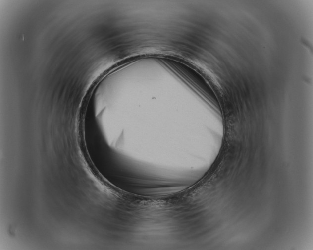 X0000091000991200708241445