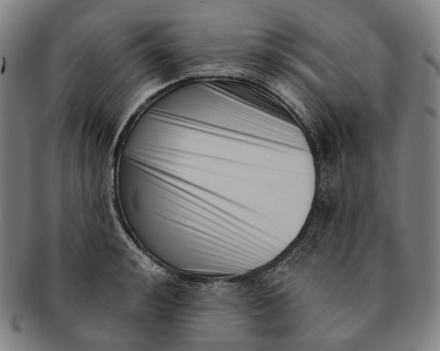 X0000091000992200708241445