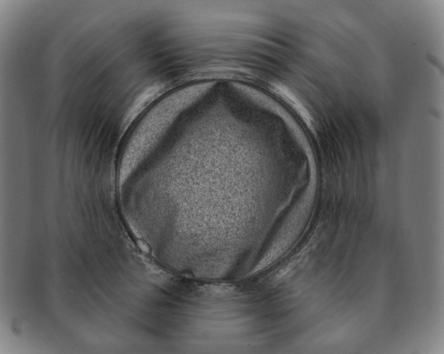 X0000091000994200708241445