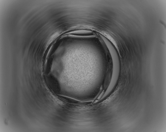 X0000091000997200708241445