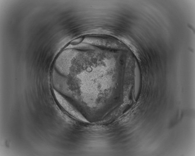 X0000091000998200708241445