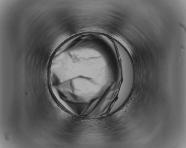 X0000091000999200708241445