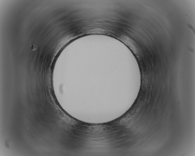 X0000091001000200708241445
