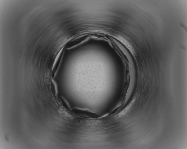 X0000091001001200708241445