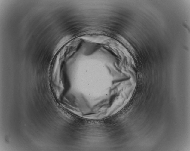 X0000091001002200708241445
