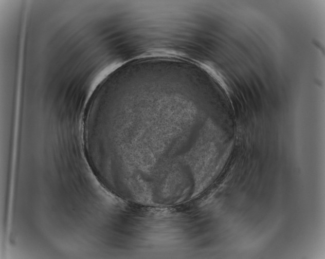 X0000091001003200708241445