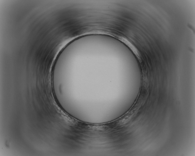X0000091001004200708241445