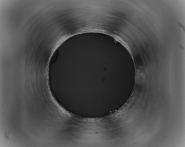 X0000091001005200708241445
