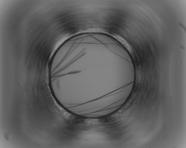X0000091001006200708241445