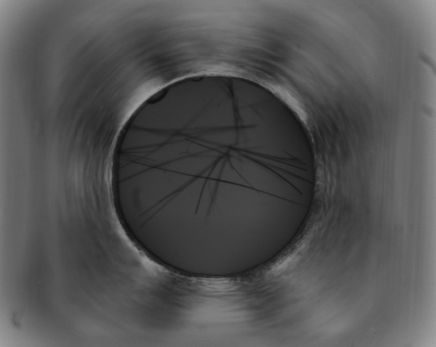 X0000091001007200708241445