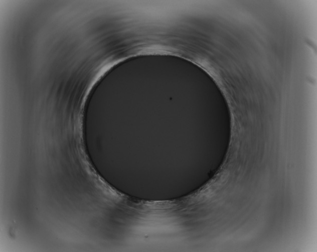 X0000091001008200708241445
