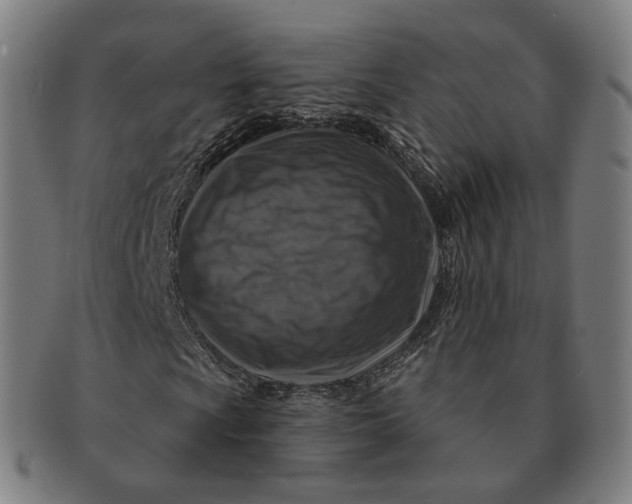 X0000091001009200708241444
