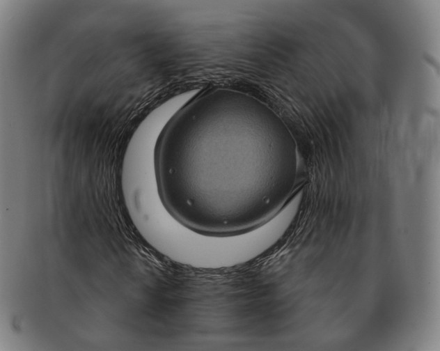 X0000091001010200708241444