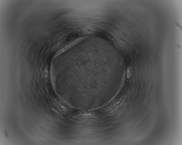 X0000091001011200708241444