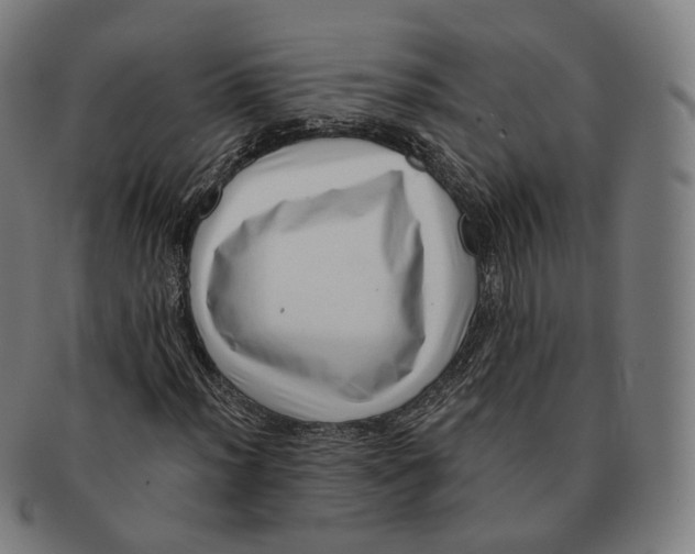 X0000091001012200708241444