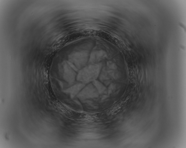 X0000091001013200708241444