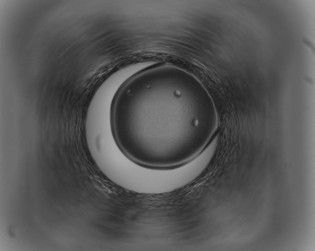 X0000091001014200708241444