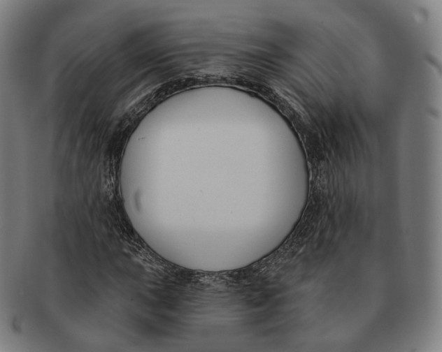 X0000091001015200708241444