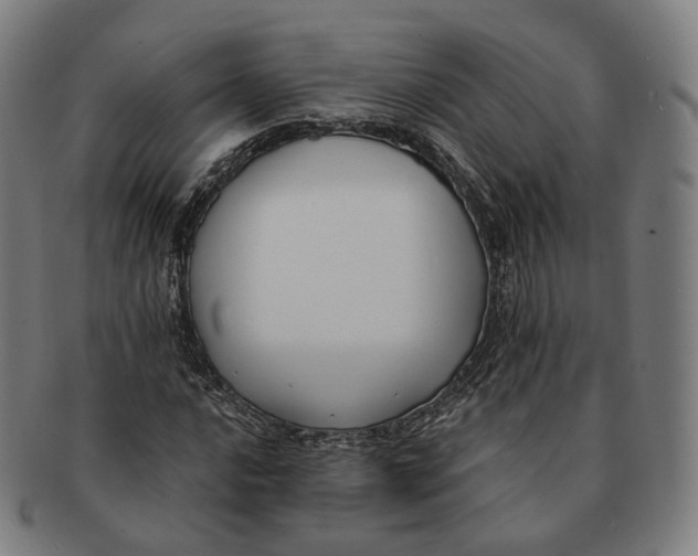 X0000091001016200708241444