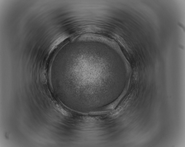 X0000091001018200708241444