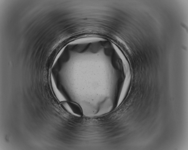 X0000091001019200708241444