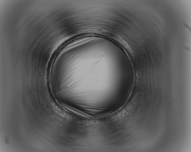 X0000091001020200708241444