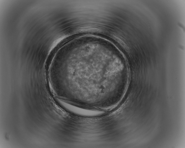 X0000091001022200708241444
