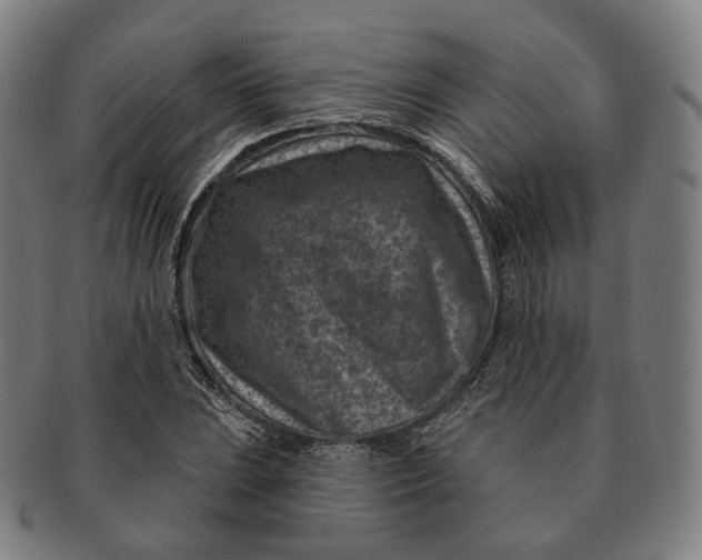 X0000091001023200708241444