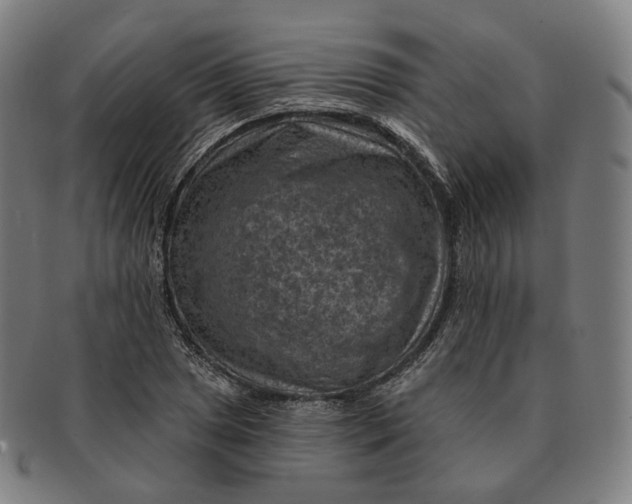 X0000091001025200708241444