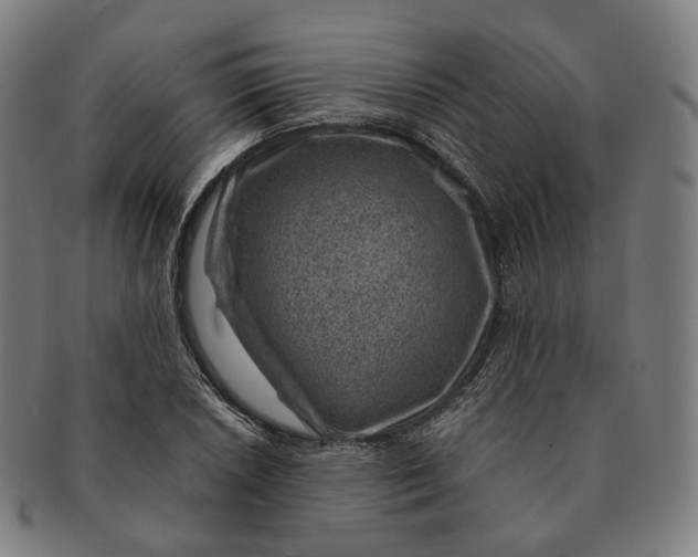 X0000091001026200708241444