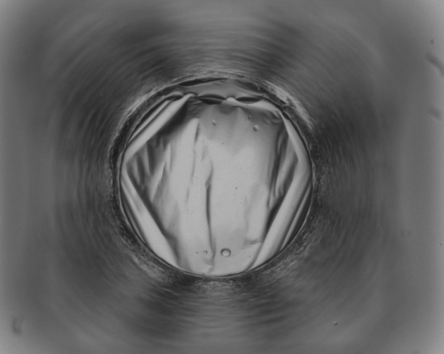 X0000091001027200708241444