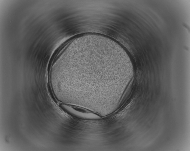 X0000091001028200708241444