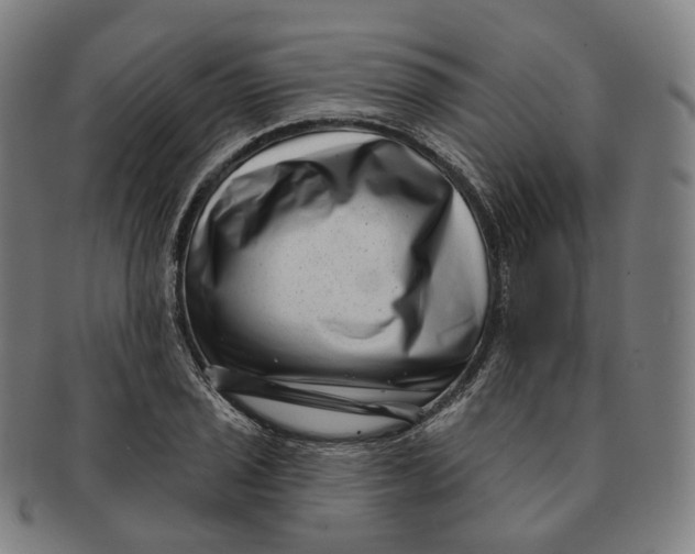 X0000091001029200708241444