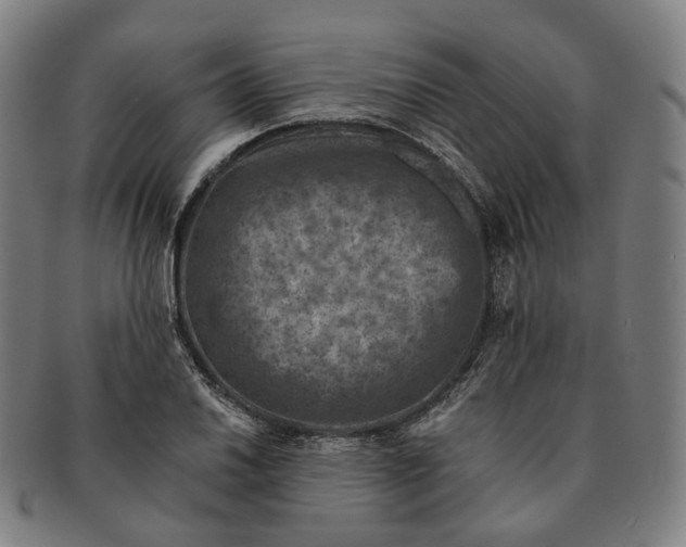X0000091001030200708241444