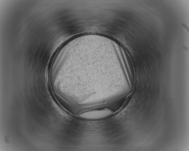 X0000091001032200708241444